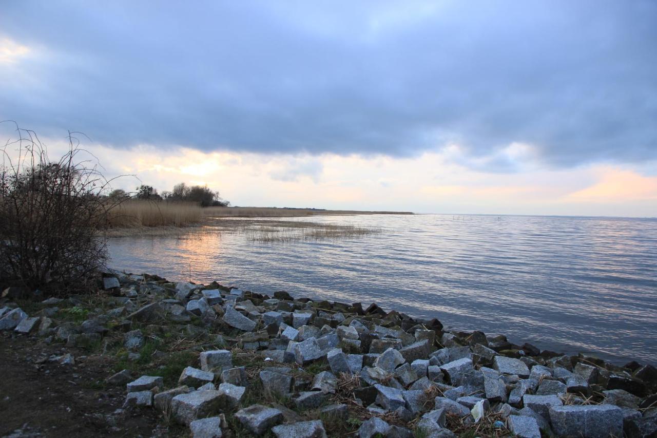 Hotel Am Markt & Brauhaus Stadtkrug Ueckermünde Dış mekan fotoğraf